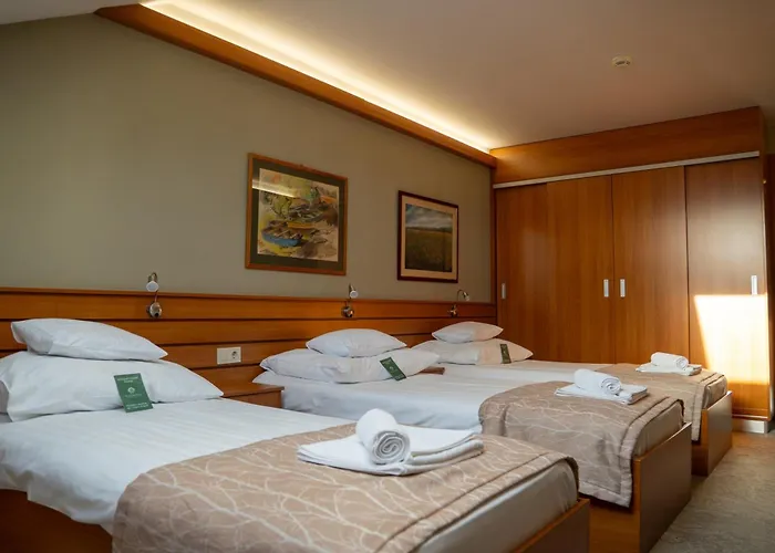 Hotel Club Tisza *